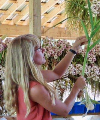 Fields Edge Farm image