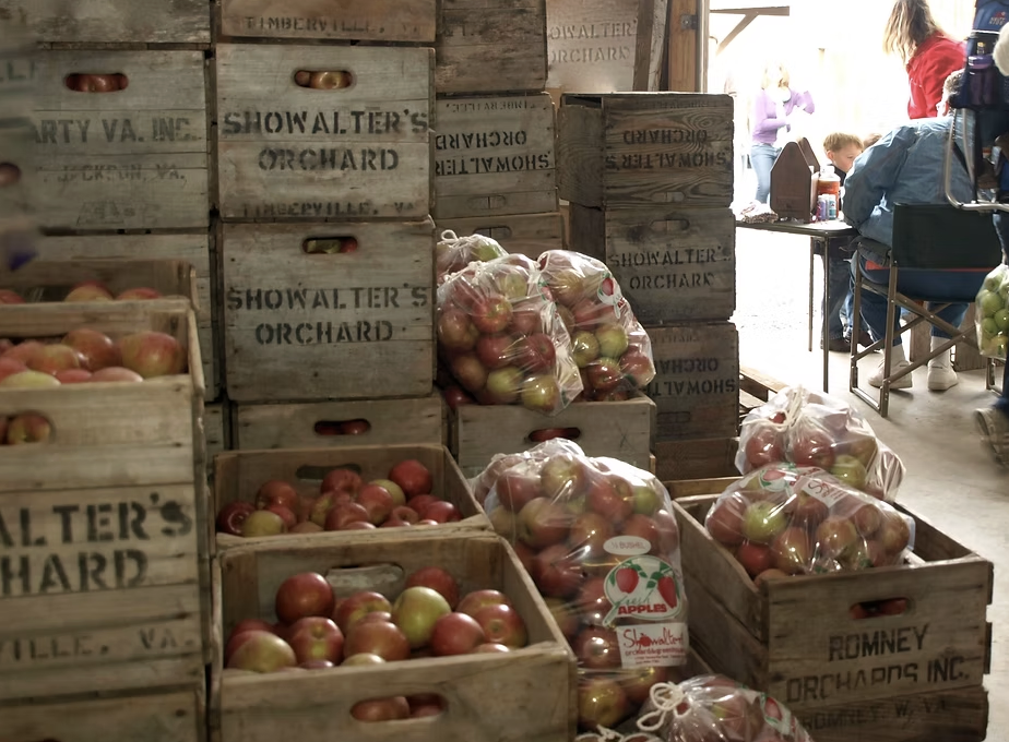 Showalter’s Orchard image
