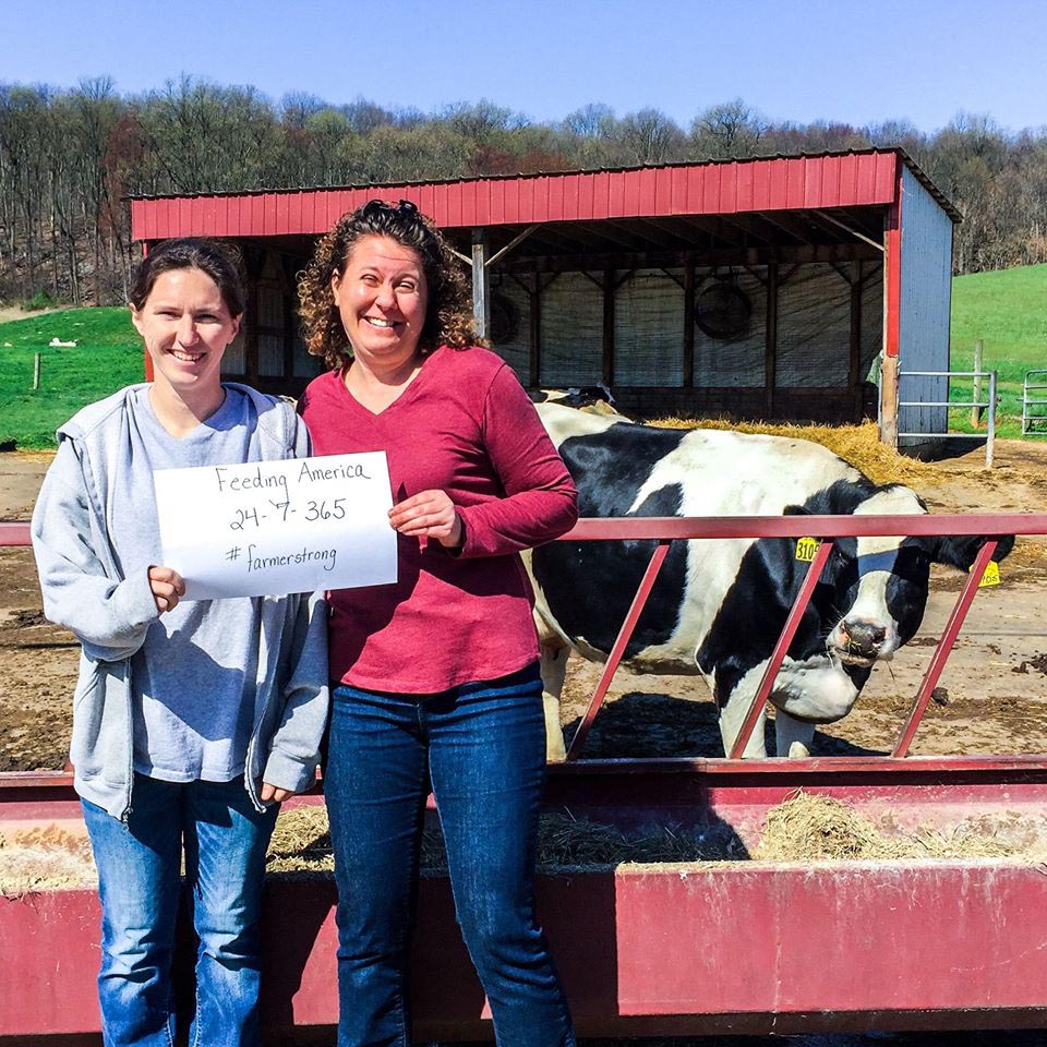 South Mountain Creamery image