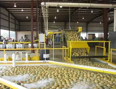 Spring Hill Produce image