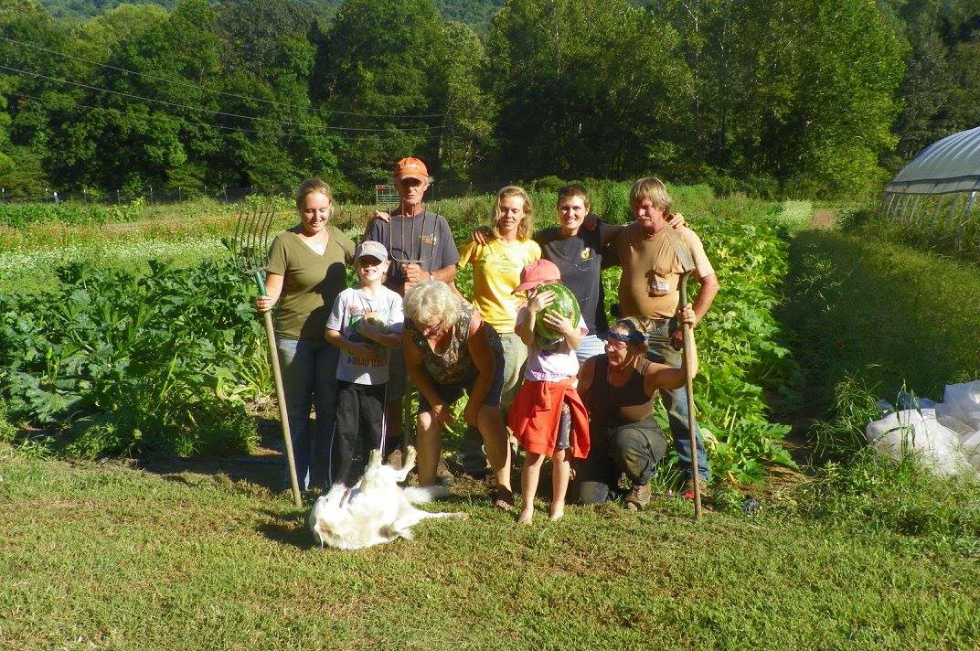 Sunflower Flats Farm image
