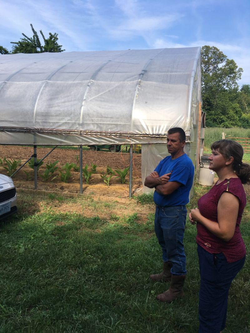 Sunnyfield Farm image
