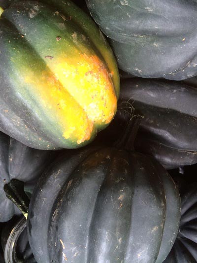 Valley Farming image