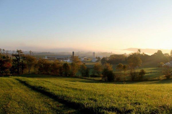 Virginia Poultry Growers Cooperative image