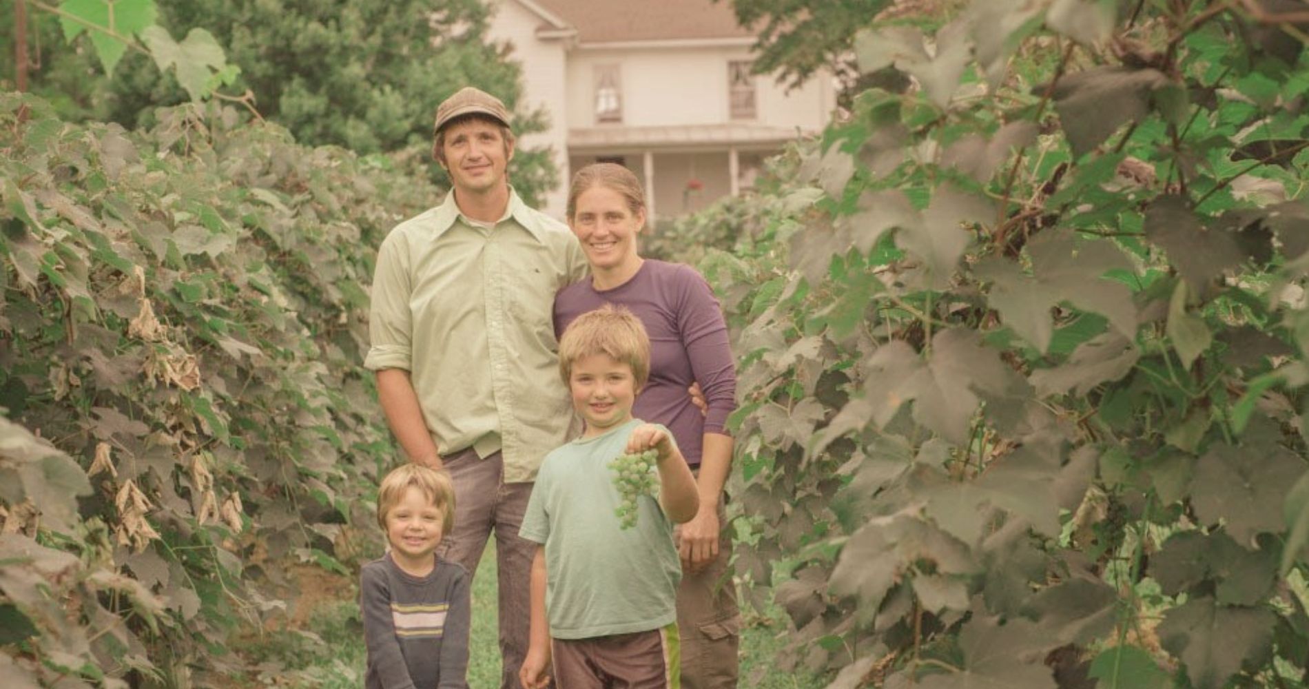 Wenger Grape Farms image