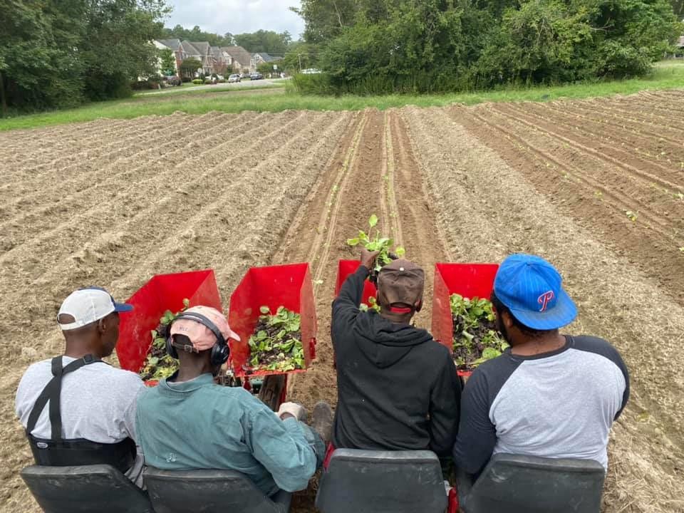 Willie Mae Farms image