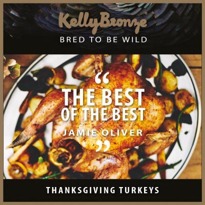 5 Reasons to Have A KellyBronze Thanksgiving image