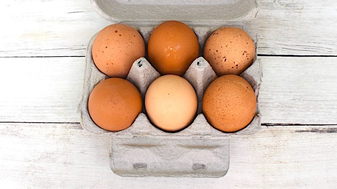 Egg-celent News: Delicious, Farm Fresh Eggs Delivered image
