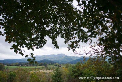 Happy New Year! Looking back, looking ahead image