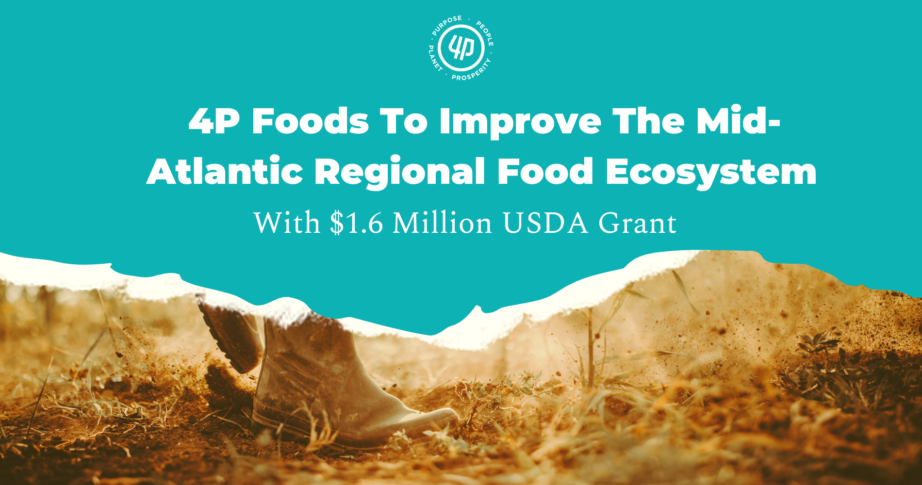 4P Foods Awarded $1.6 Million USDA Grant  To Improve the Mid-Atlantic Regional Food Ecosystem image