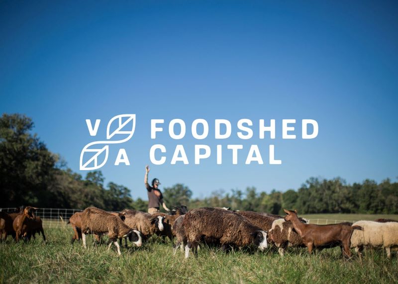 Building Equity through Foodshed Capital’s Black Farmer Fund image