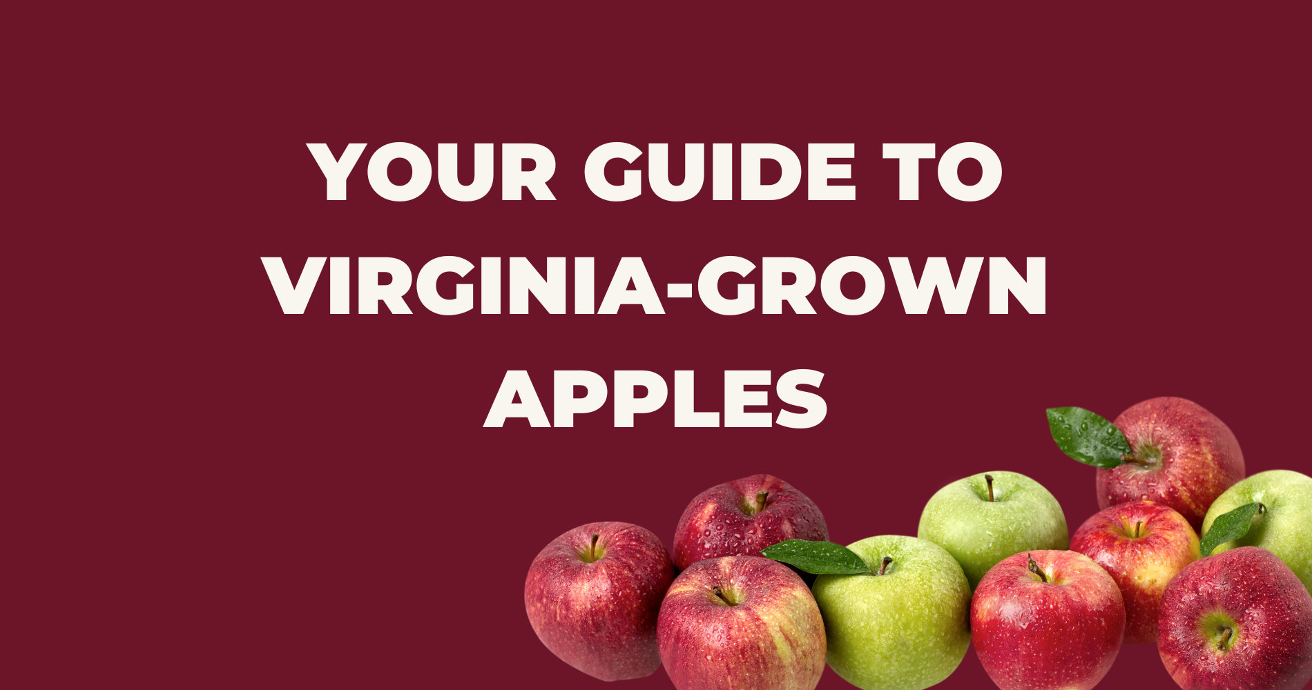 Apple-ly Ever After: A Tale of the Best Virginia-Grown Apples image