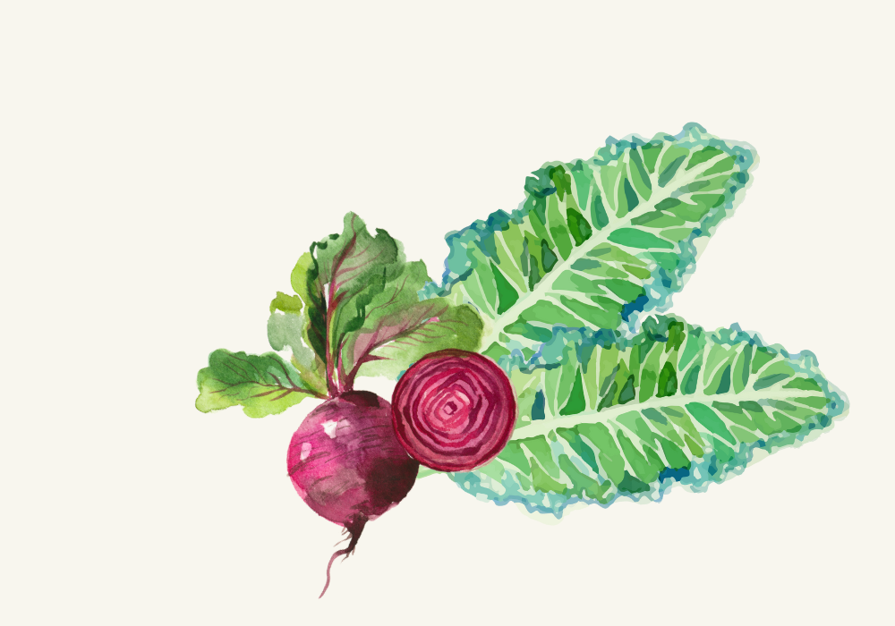 Simple Kale, Apple, and Beet Winter Salad Recipe image