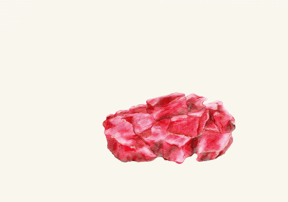 Beef Bourguignon Dinner Recipe image