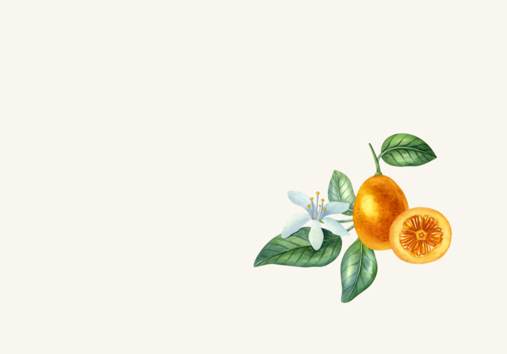 Simple Candied Kumquats Dessert Recipe image
