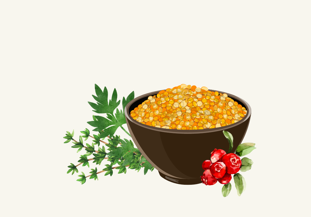 Simple One-Pot Lentil and Cranberry Side Dish Recipe image