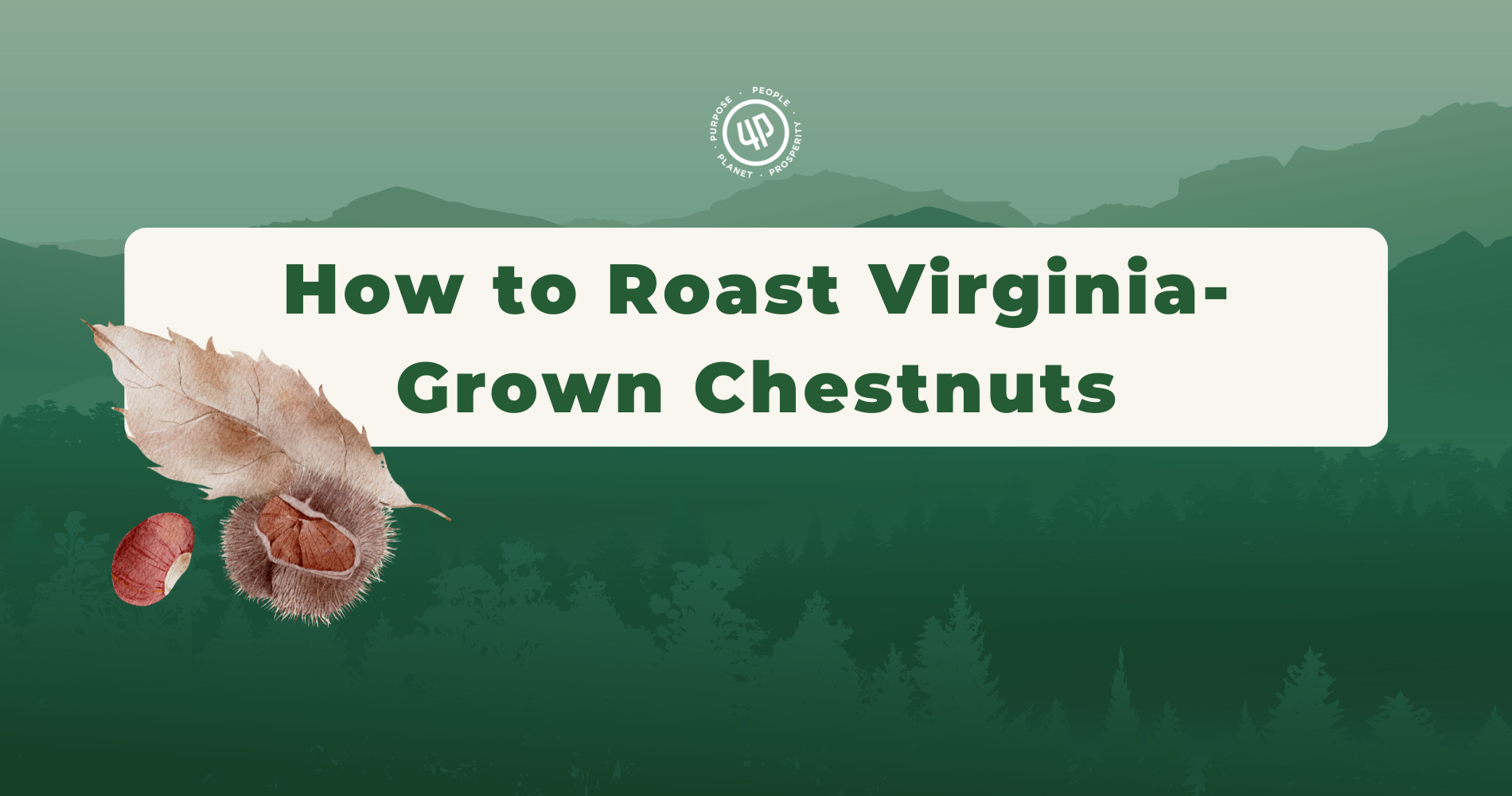 Chestnuts About This: How to Roast Virginia-Grown Chestnuts image