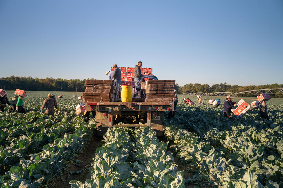 Parker Farms image