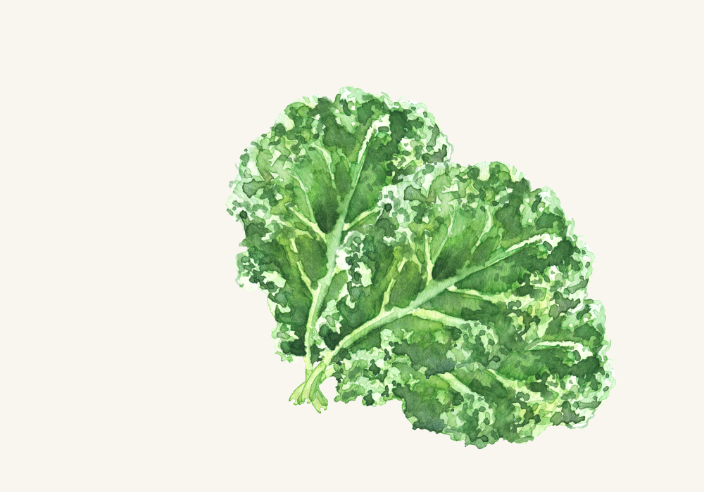 Simple Crispy Kale Snack Recipe image