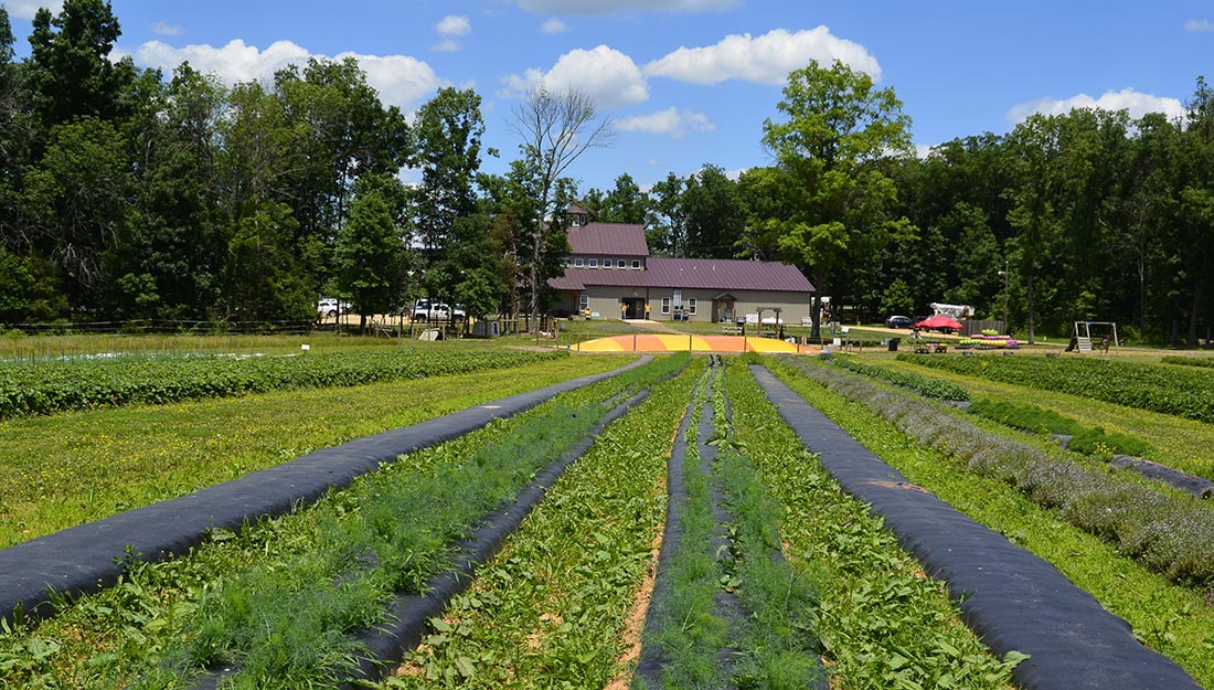 Messick's Farm Market image