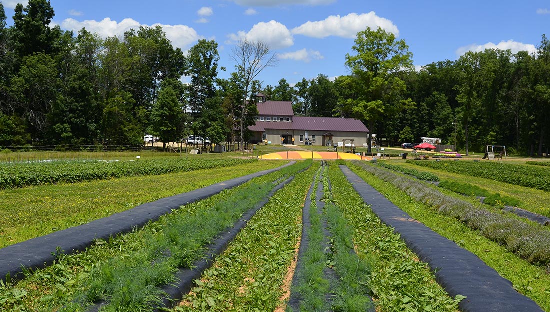 Messick's Farm Market image