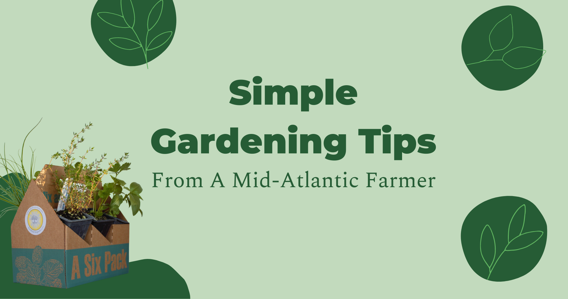 Simple Gardening Tips From A Mid-Atlantic Farmer image