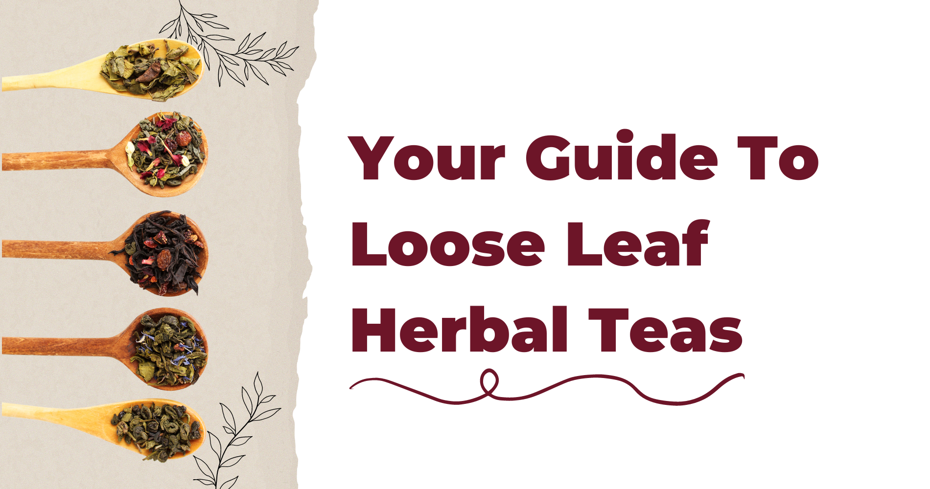 Your Guide to Loose Leaf Herbal Teas And How To Use Them image