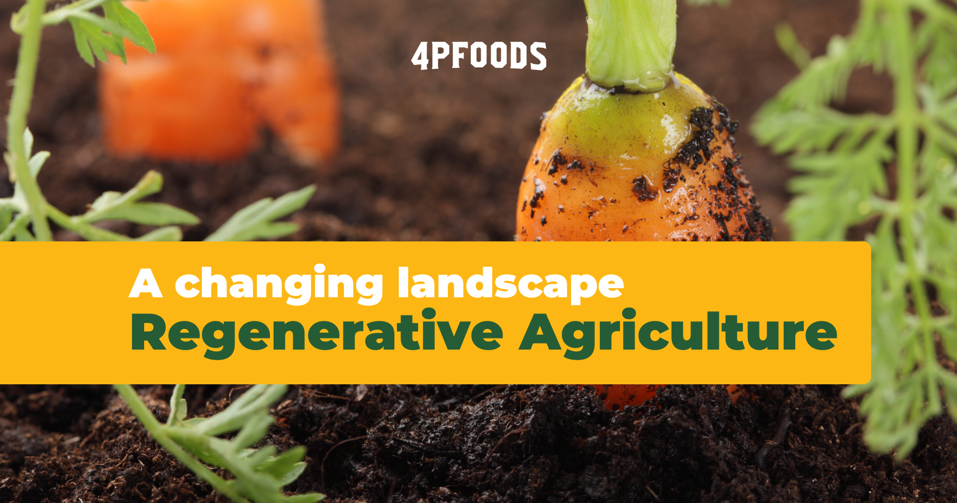 A Changing Landscape: Regenerative Agriculture image