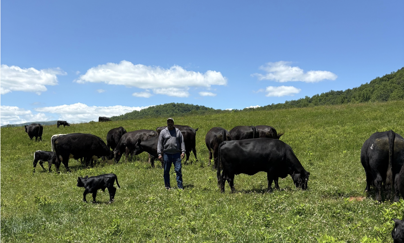 Round House Farm Beef  image
