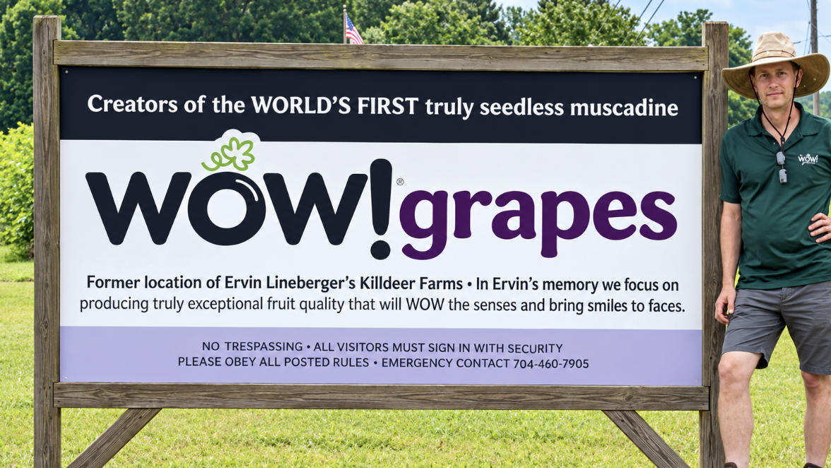 WOW Grapes image
