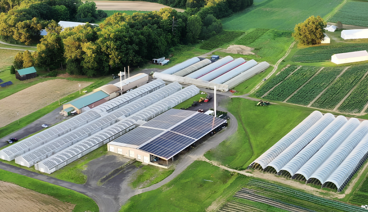 Barnwood Valley Farms image