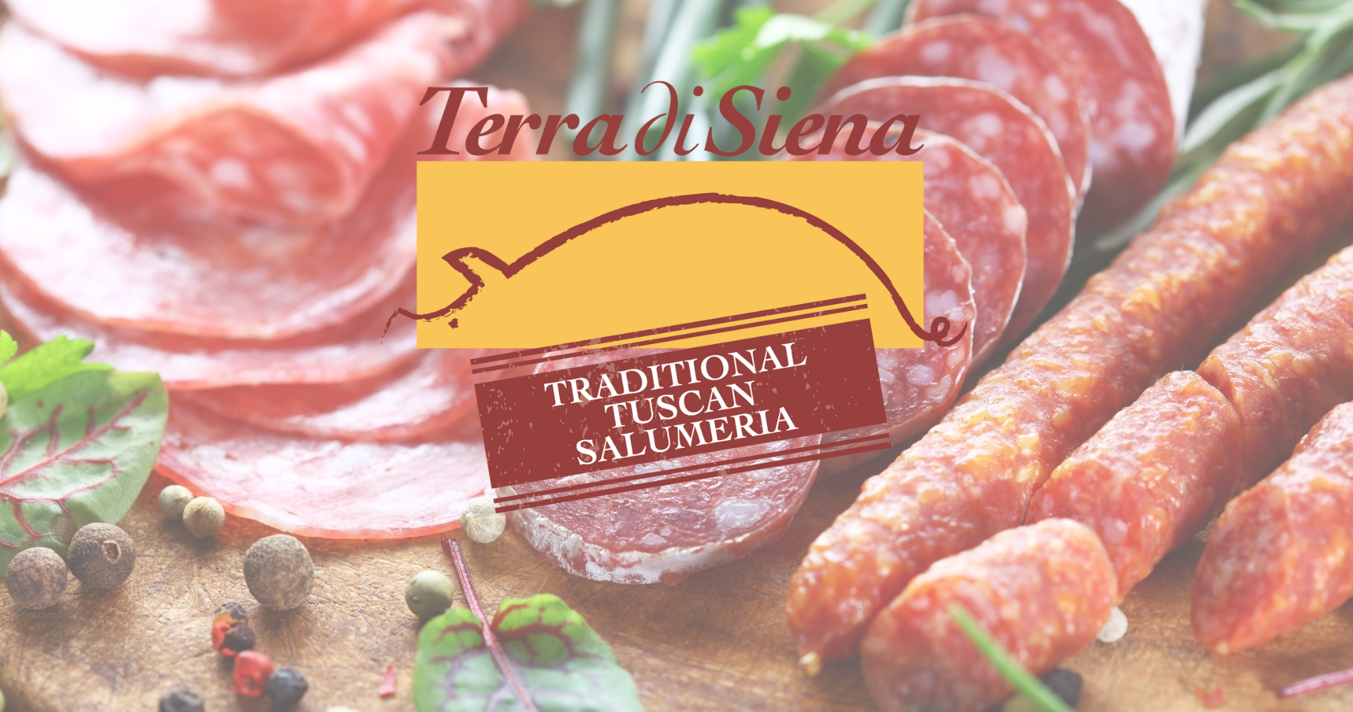 Terra di Siena USA image